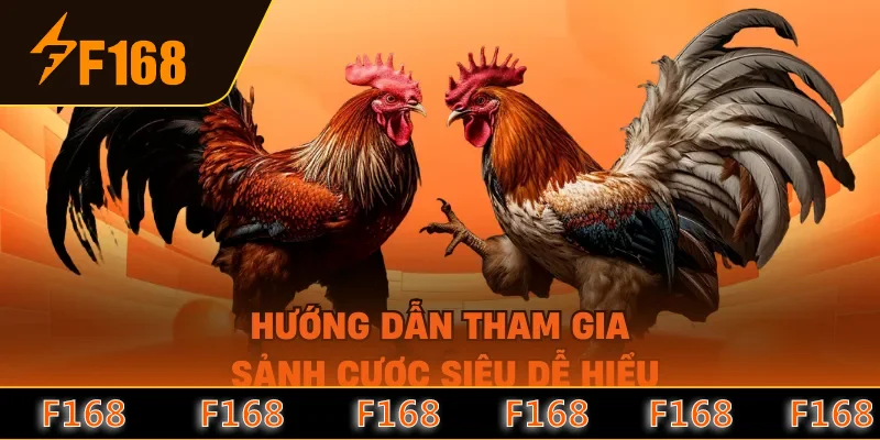 Hướng dẫn tham gia sảnh cược siêu dễ hiểu
